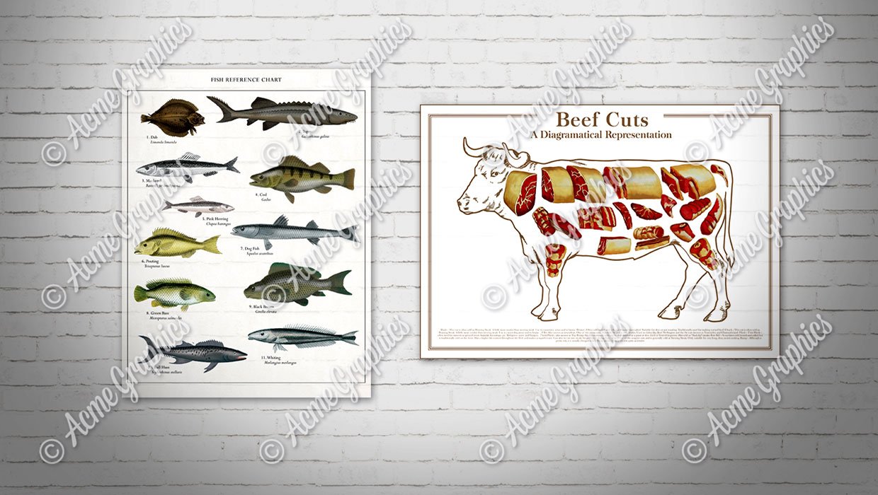 Prop food animal reference chart posters